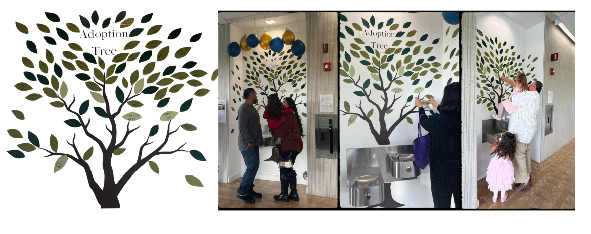 Adoption Tree at the Courthouse